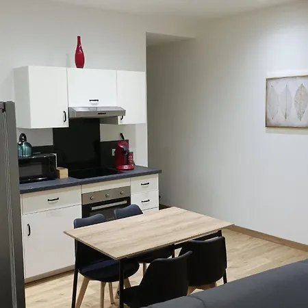 Apartment Grand Duplex Confortable En Plein Centre Rives (Isere)