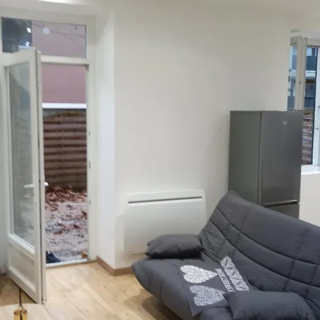 Grand Duplex Confortable En Plein Centre Rives (Isere)
