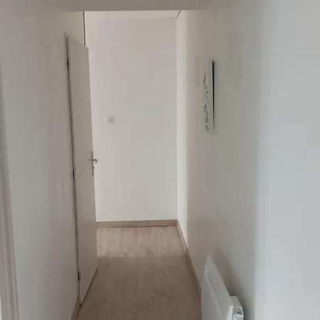 Grand Duplex Confortable En Plein Centre Rives (Isere)