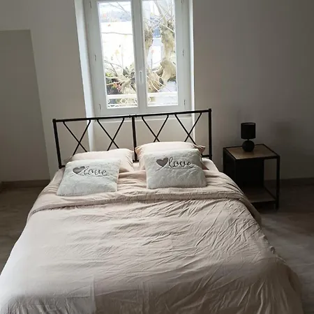 Grand Duplex Confortable En Plein Centre Apartment