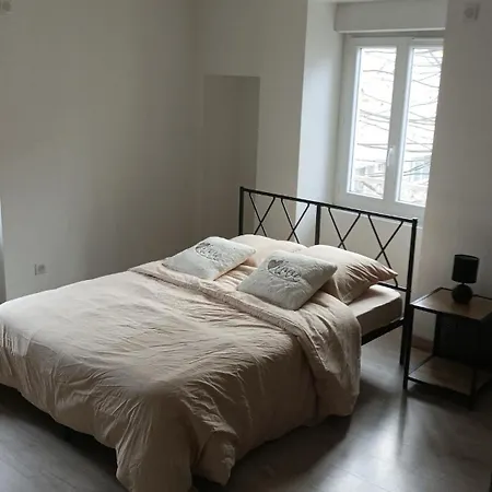 Grand Duplex Confortable En Plein Centre Apartment Rives (Isere)