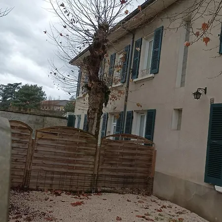Grand Duplex Confortable En Plein Centre Apartment Rives (Isere)